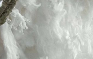 滌綸短纖現貨價格繼續回落