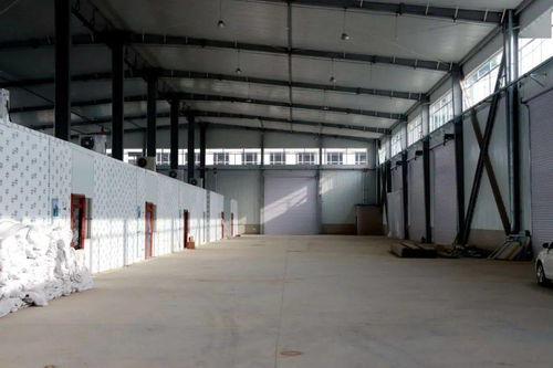 嗨購新年 會寧朝陽農產品交易中心將于元旦盛大開業(yè)